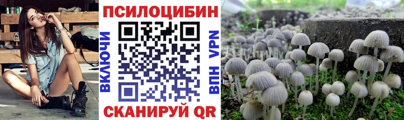 что такое   Трёхгорный  Псилоцибиновые грибы Psilocybine cubensis 